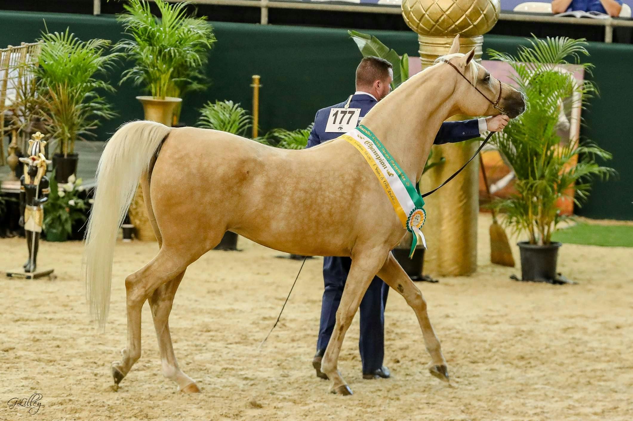 2022 Australian National Championships