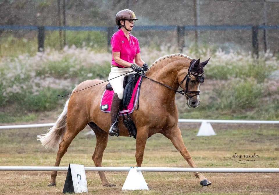 Top Model continues Dressage success