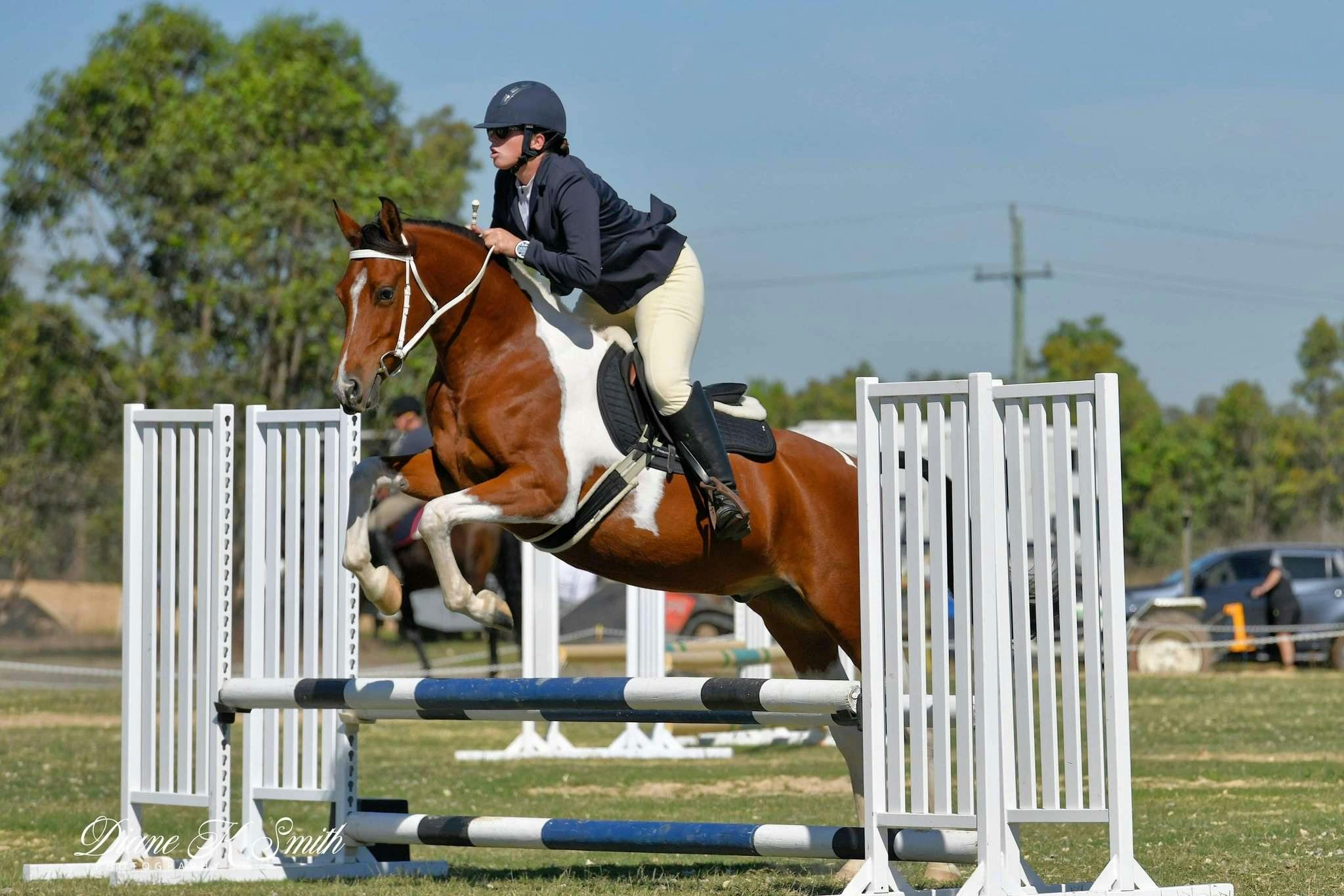 Diamond Road Valentino Showjumping Success