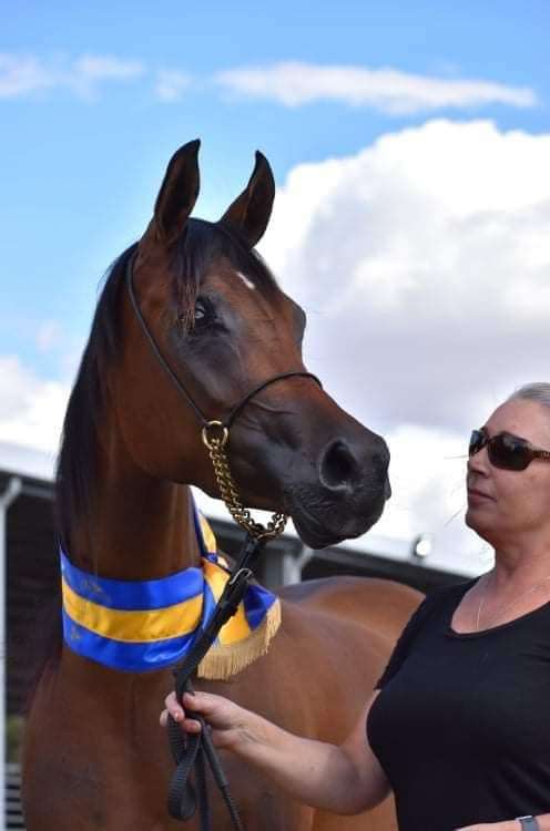 Nejilah wins Champion Junior Filly Victorian Championships